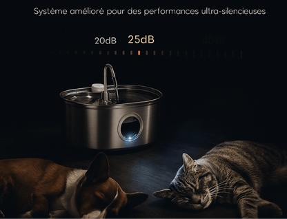 Clairinox™ – Fontaine à eau pour chat 3.2L en acier inoxydable | Ultra silencieuse avec filtre, LED bleue & capteur intelligent | Design premium Felinor - FELINOR